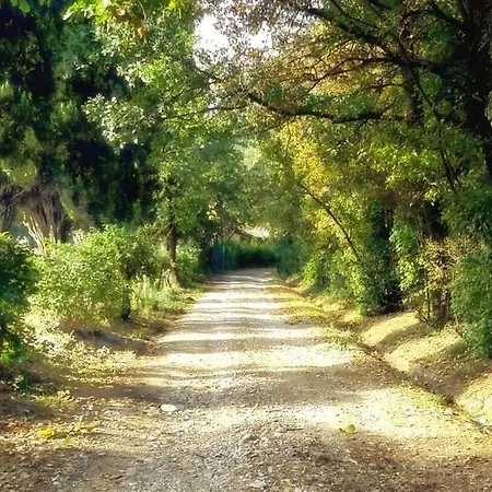 Casa Della Ludo ベッド・アンド・ブレックファスト 3*