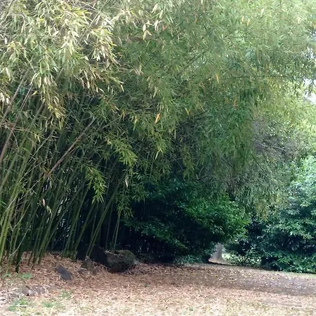 Casa Della Ludo ベッド・アンド・ブレックファスト 3*