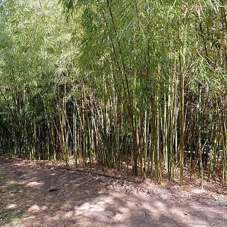 Bed & Breakfast Casa Della Ludo