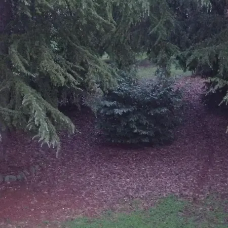 Casa Della Ludo ベッド・アンド・ブレックファスト Veggia-Villalunga