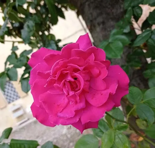 Casa Della Ludo Bed & Breakfast 3*