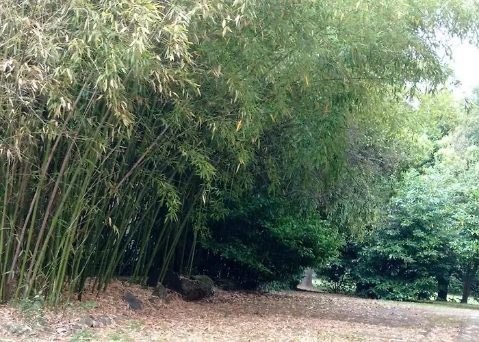 Casa Della Ludo Bed & Breakfast 3*