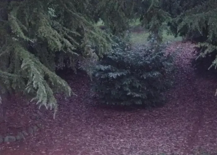 Casa Della Ludo Отель типа 